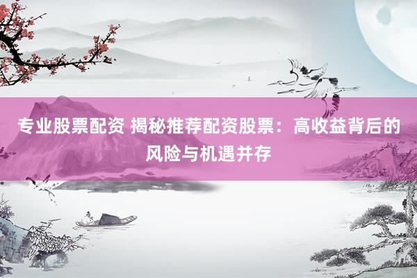 专业股票配资 揭秘推荐配资股票：高收益背后的风险与机遇并存