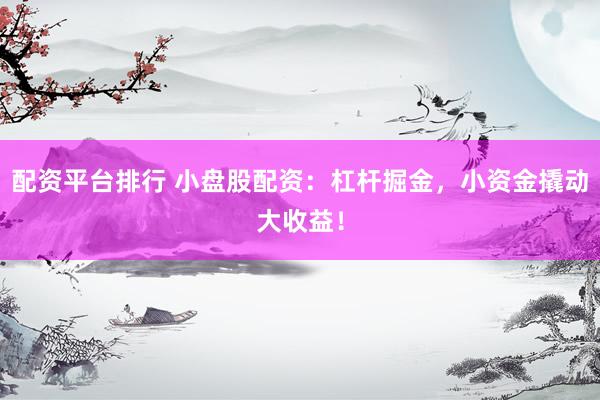 配资平台排行 小盘股配资：杠杆掘金，小资金撬动大收益！