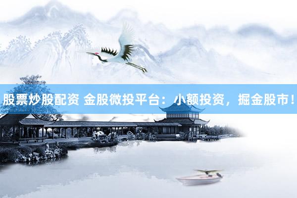 股票炒股配资 金股微投平台：小额投资，掘金股市！