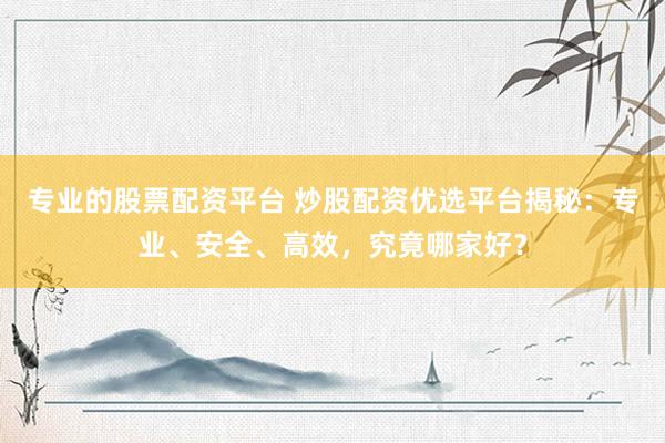 专业的股票配资平台 炒股配资优选平台揭秘：专业、安全、高效，究竟哪家好？
