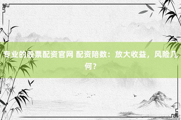 专业的股票配资官网 配资陪数：放大收益，风险几何？